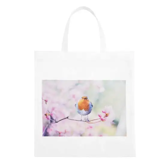 Bolsa promocional de non woven.